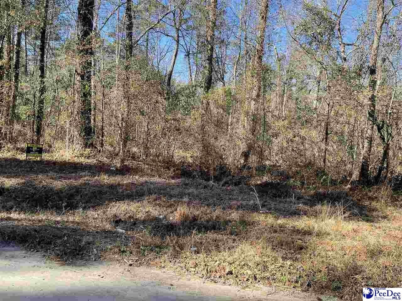 1. Lot On Spring Hill Rd