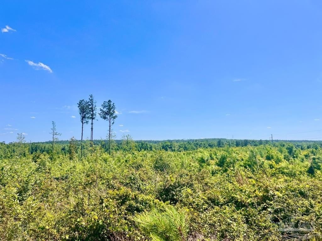 2. Lot 13-C Cotton Lake Rd