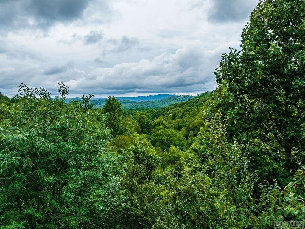 1. Lot 10 Ravenel Ridge Road