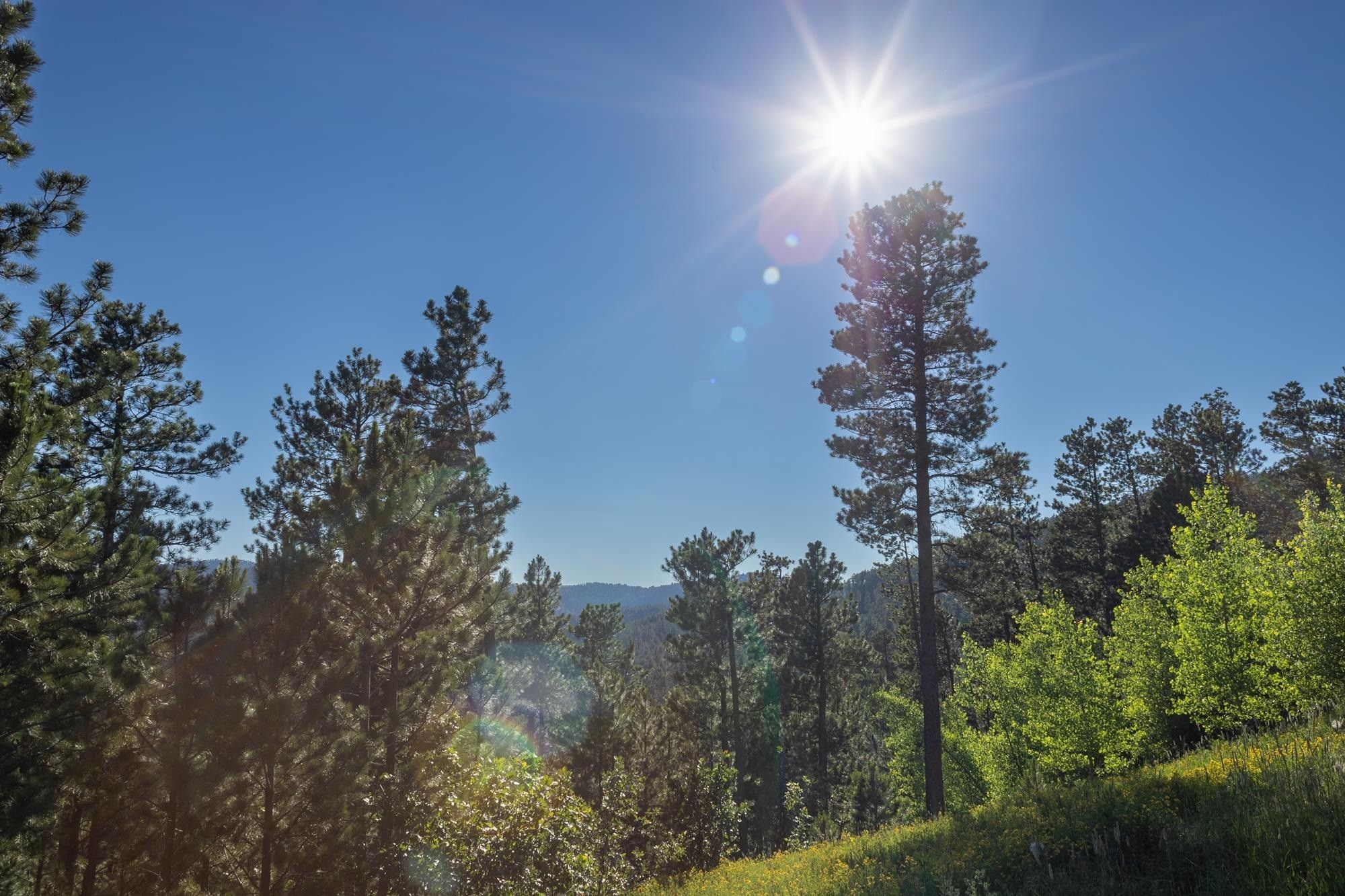 26. Lot 105 Paradise Gulch Loop