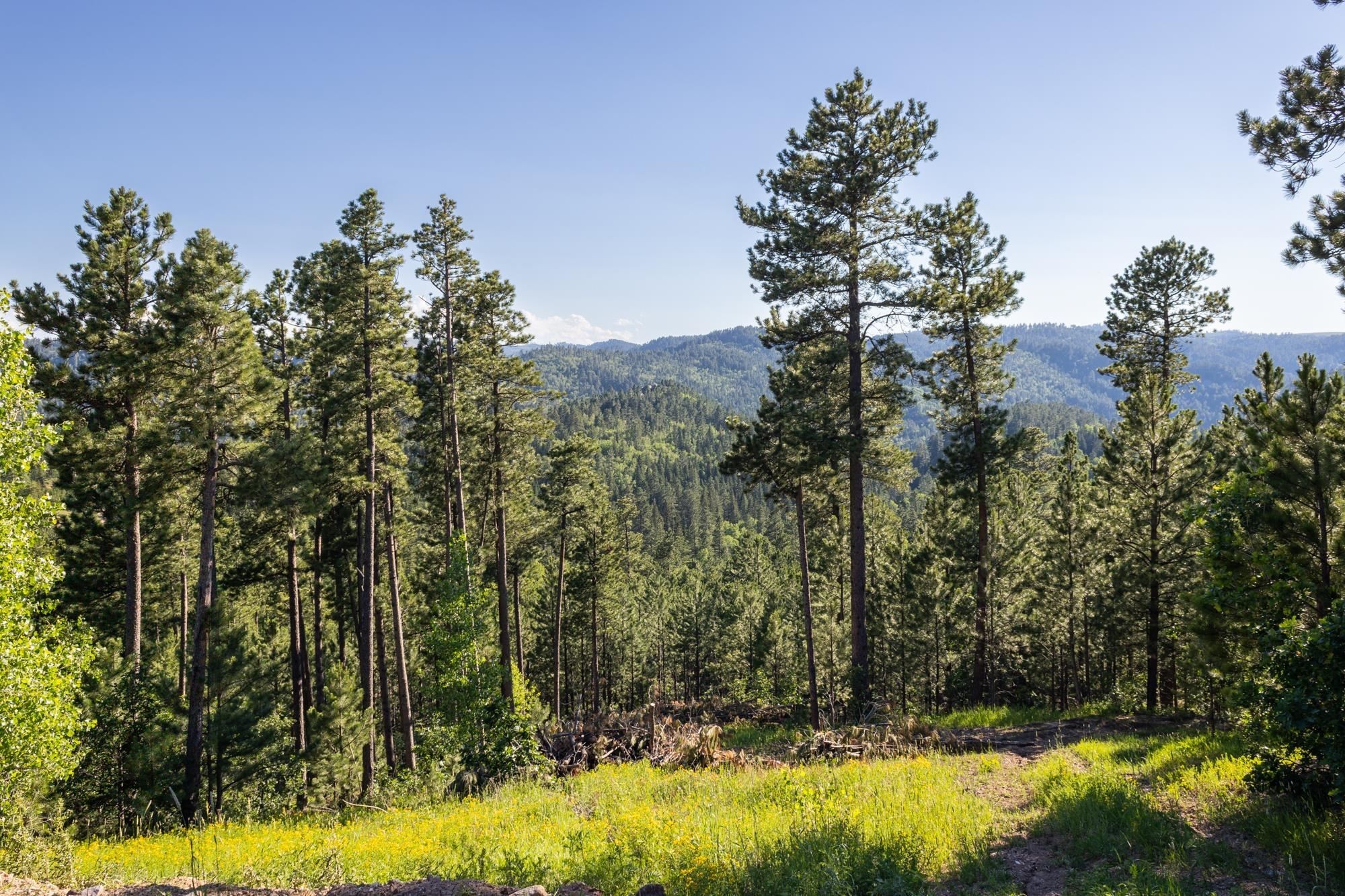 22. Lot 105 Paradise Gulch Loop