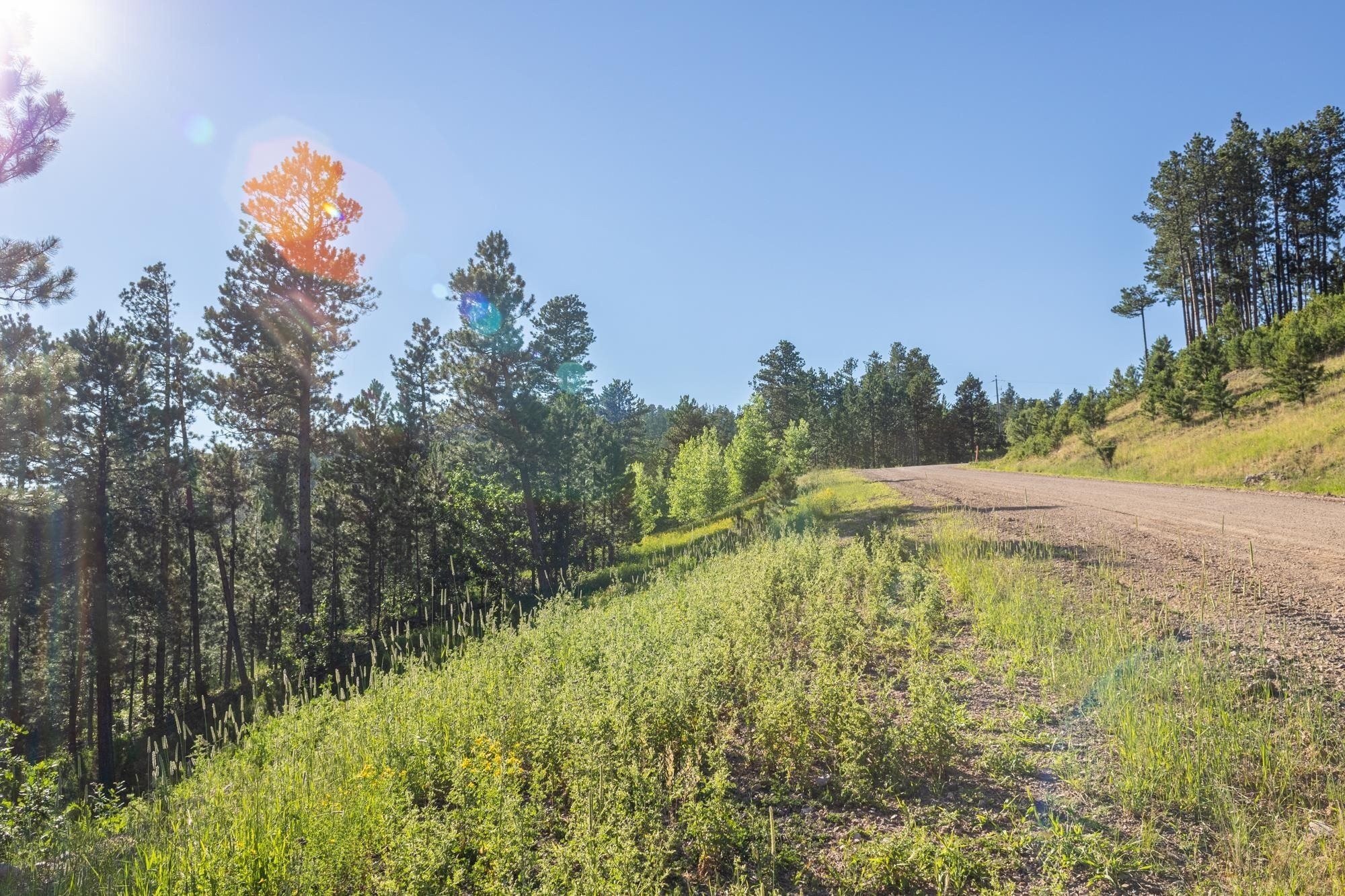 28. Lot 105 Paradise Gulch Loop