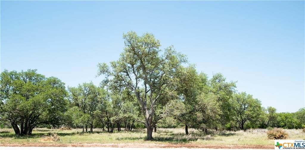 1. Tbd Lot 82 Shin Oak Drive