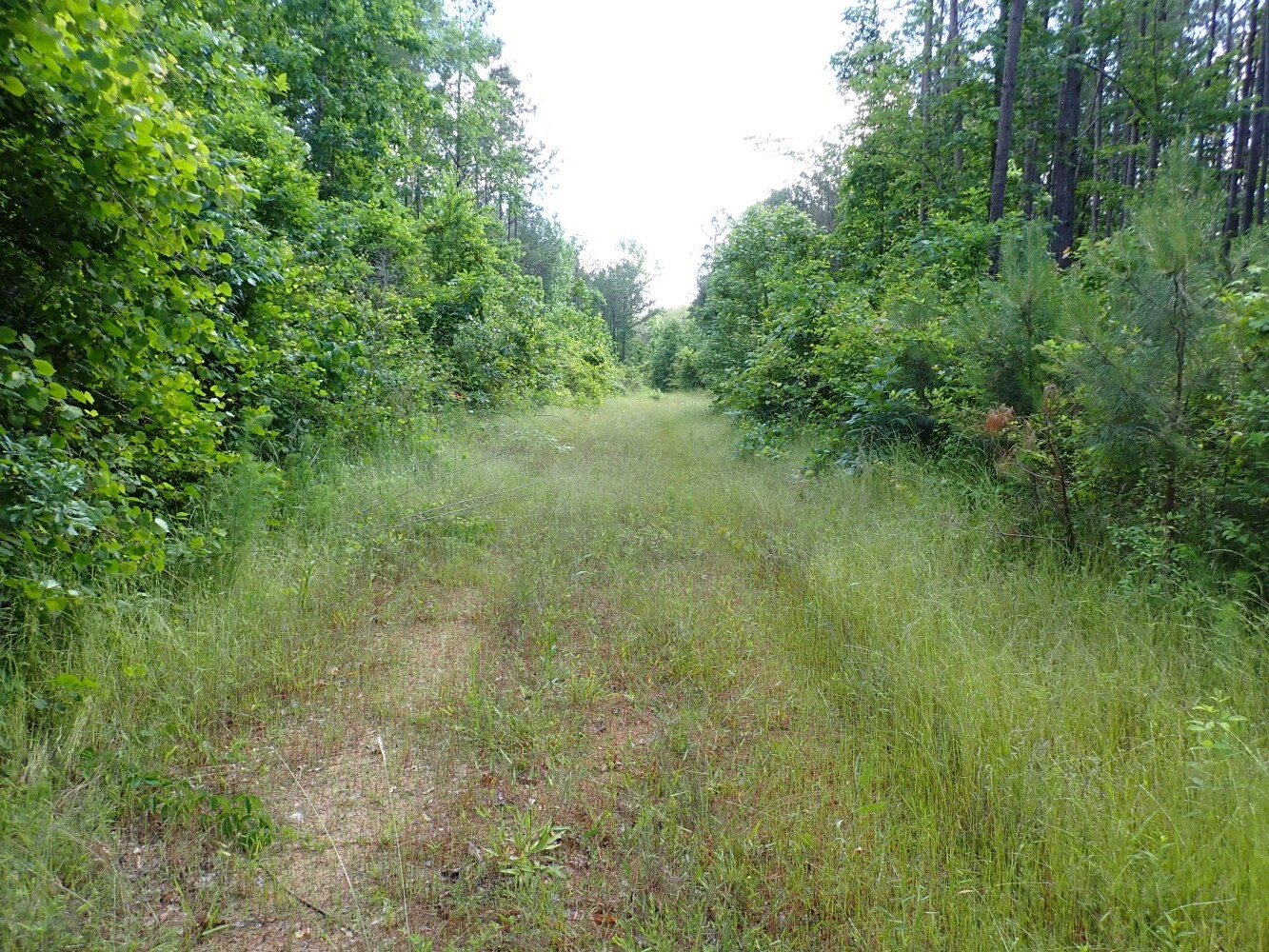 25. 0 Weller Road - East Tract