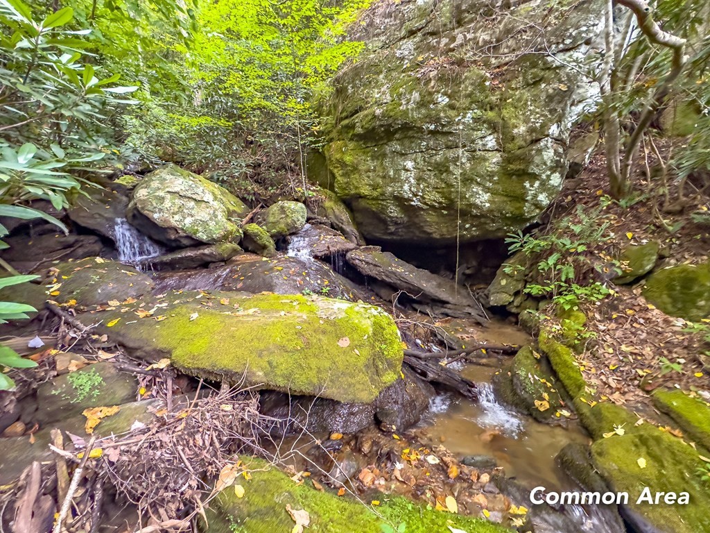 34. Lot 258 Covered Bridge Trl