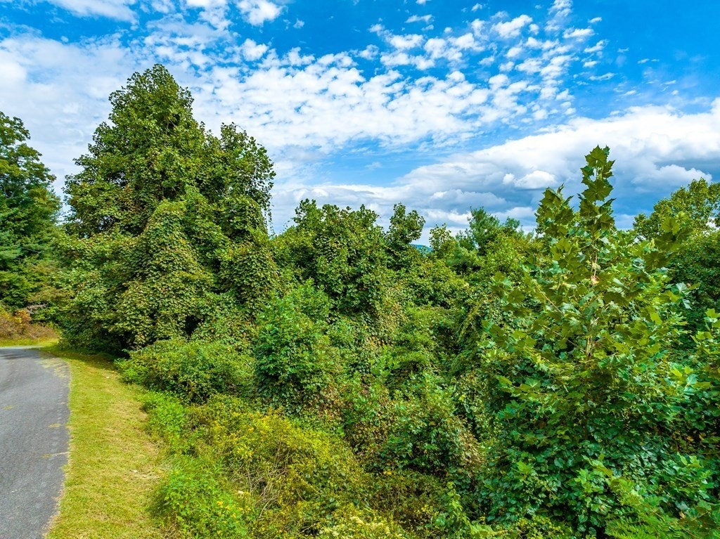 18. Lot 258 Covered Bridge Trl