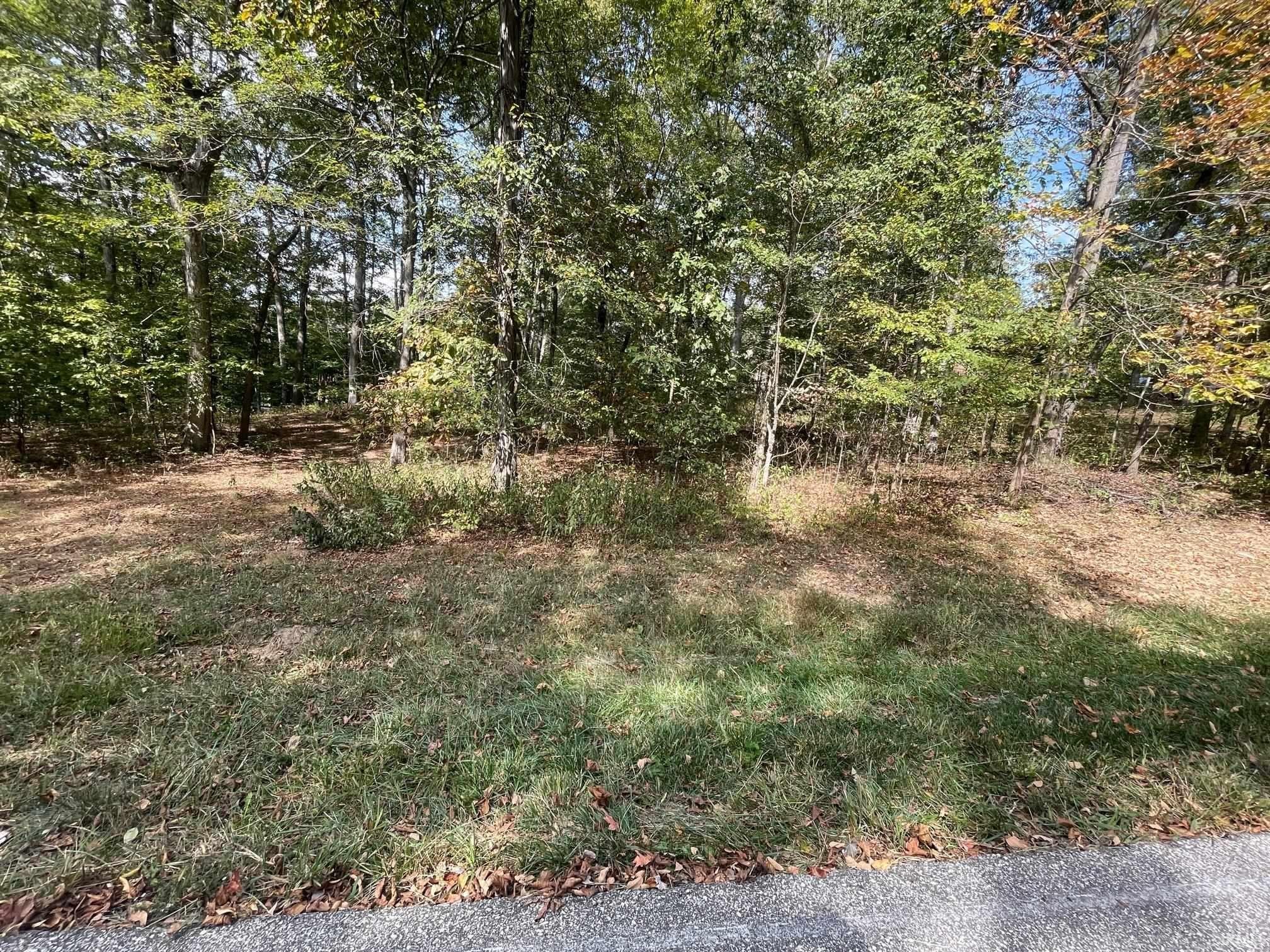 2. Lot 100 S Melchoir Drive