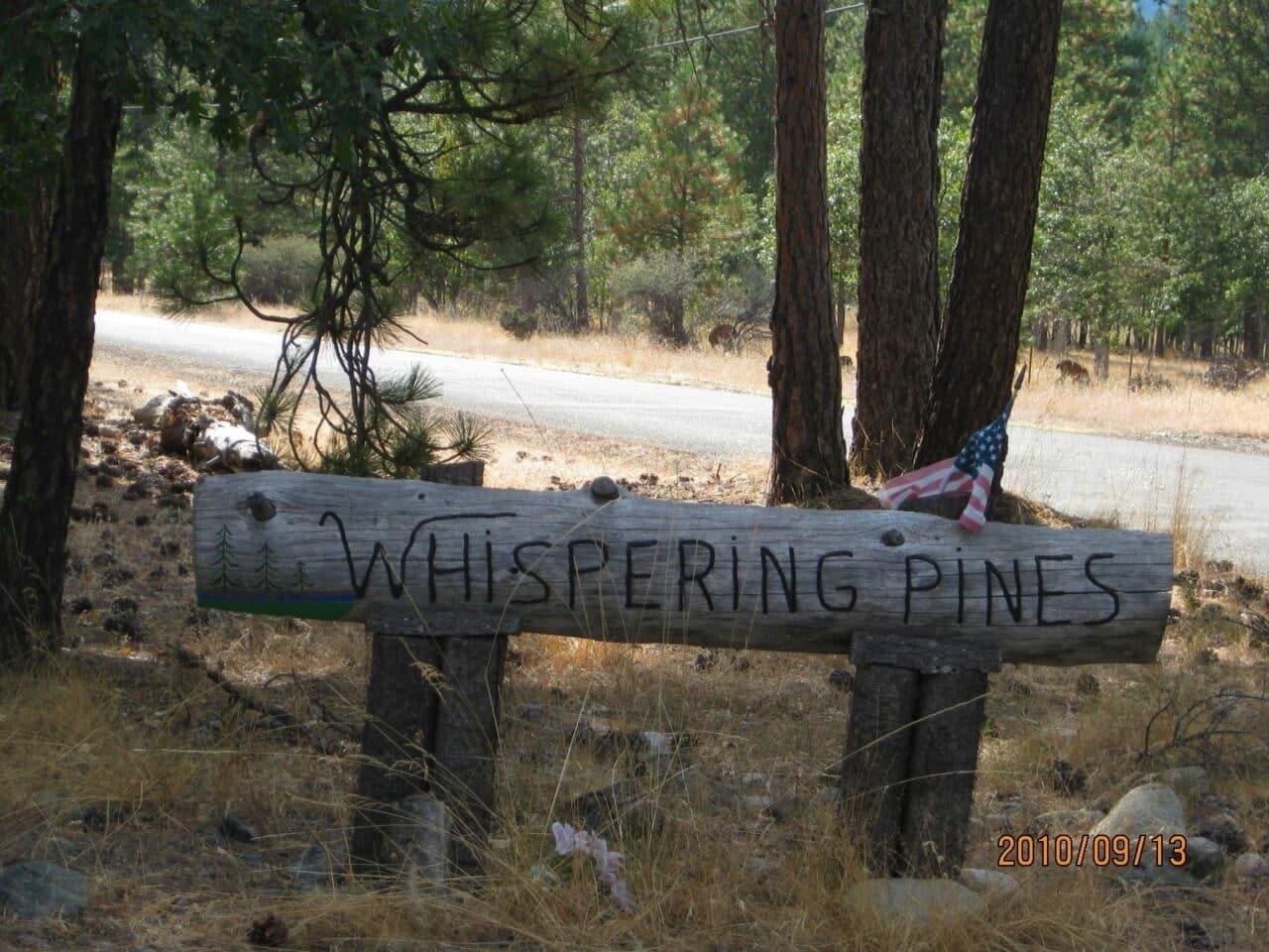 10. 000 Whispering Pines