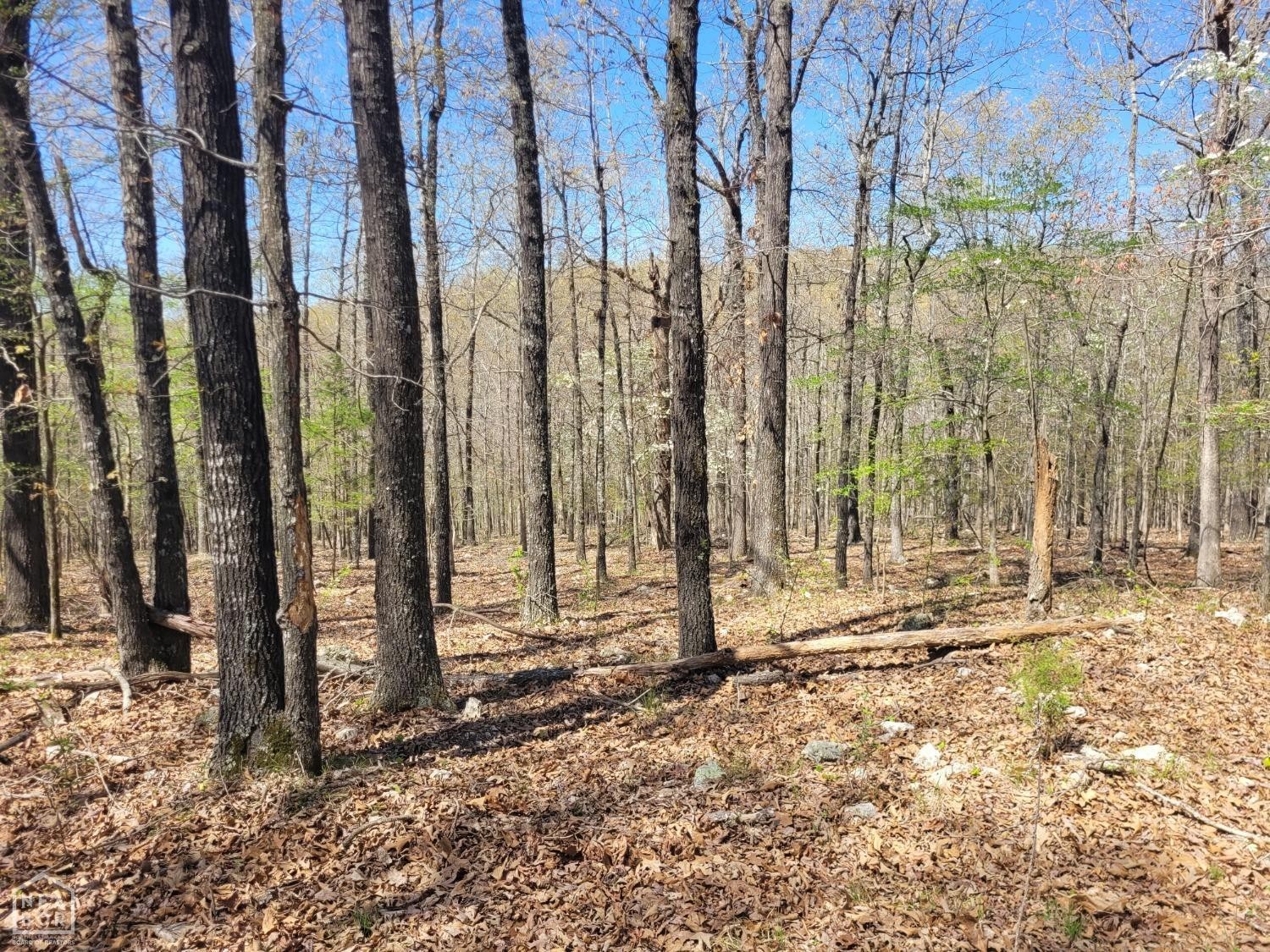 15. 40 Ac Hill Creek Tr