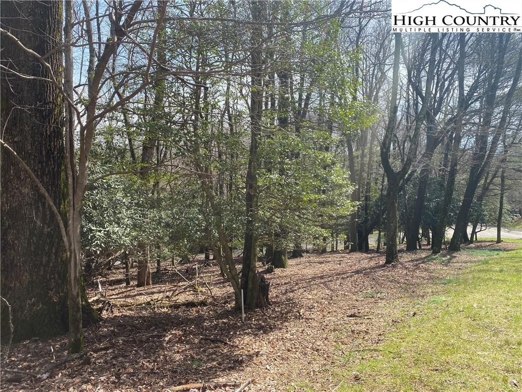 2. Lot 6 Hickory Hill Lane