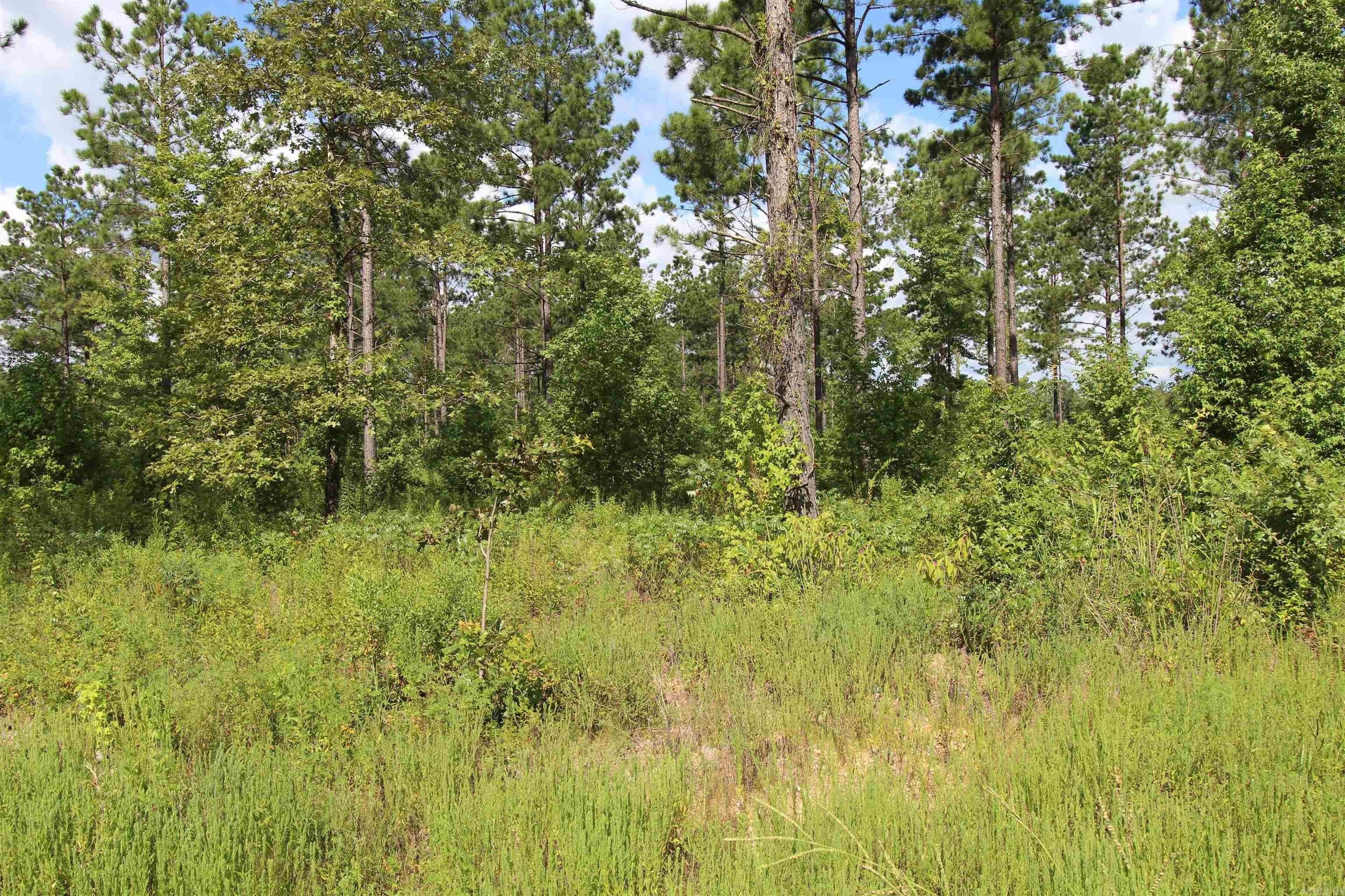 2. Lot 15 Grant County Road 761