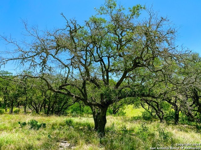 16. Lot 23 Loma Vista Ranch