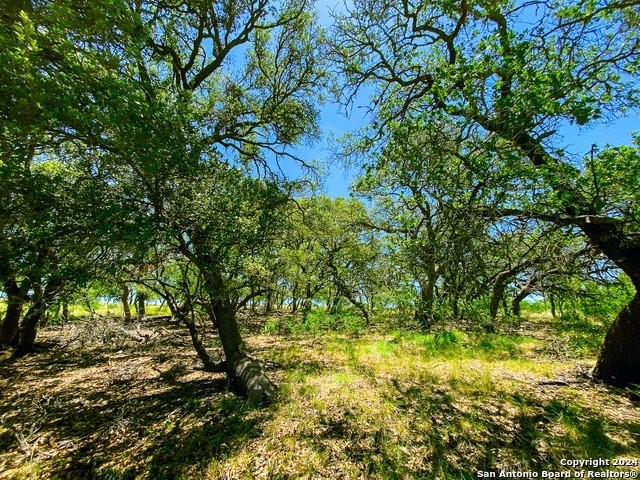 25. Lot 23 Loma Vista Ranch