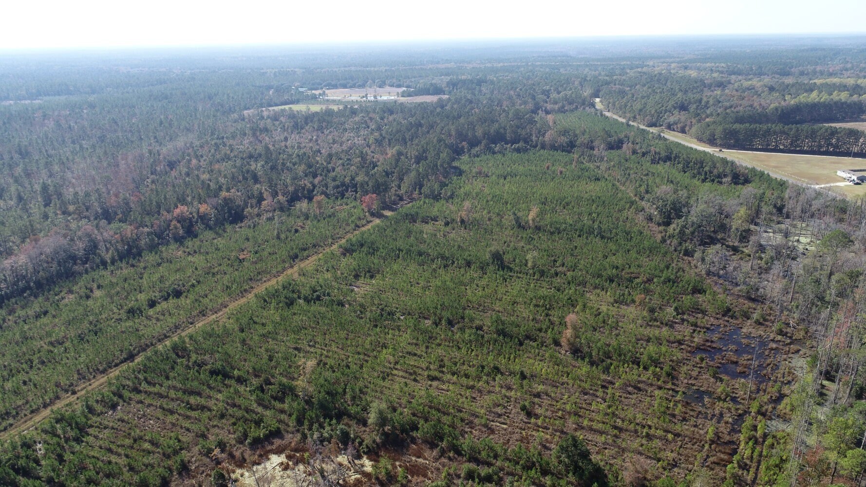 2. Otter Hole Branch Road