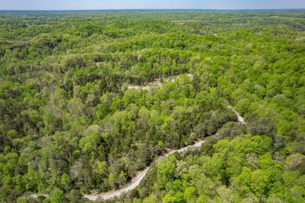 1. Seven Knobs Rd 65.62 Acres
