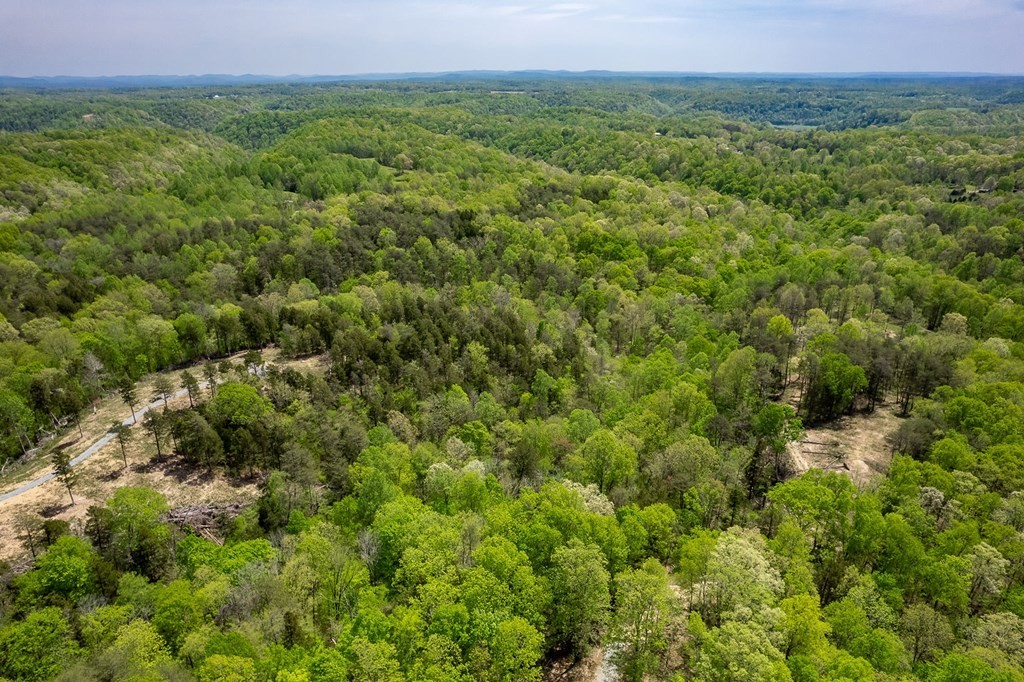 11. Seven Knobs Rd 65.62 Acres