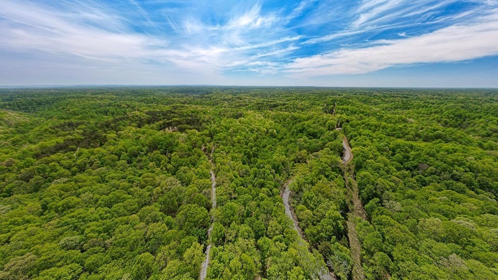 12. Seven Knobs Rd 65.62 Acres