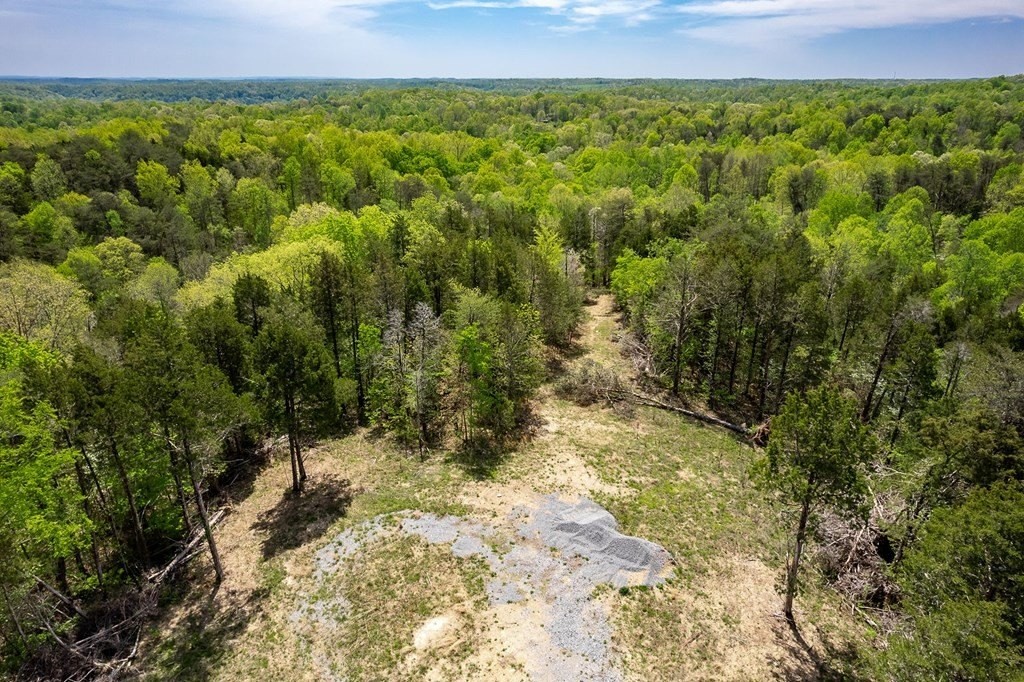 8. Seven Knobs Rd 65.62 Acres