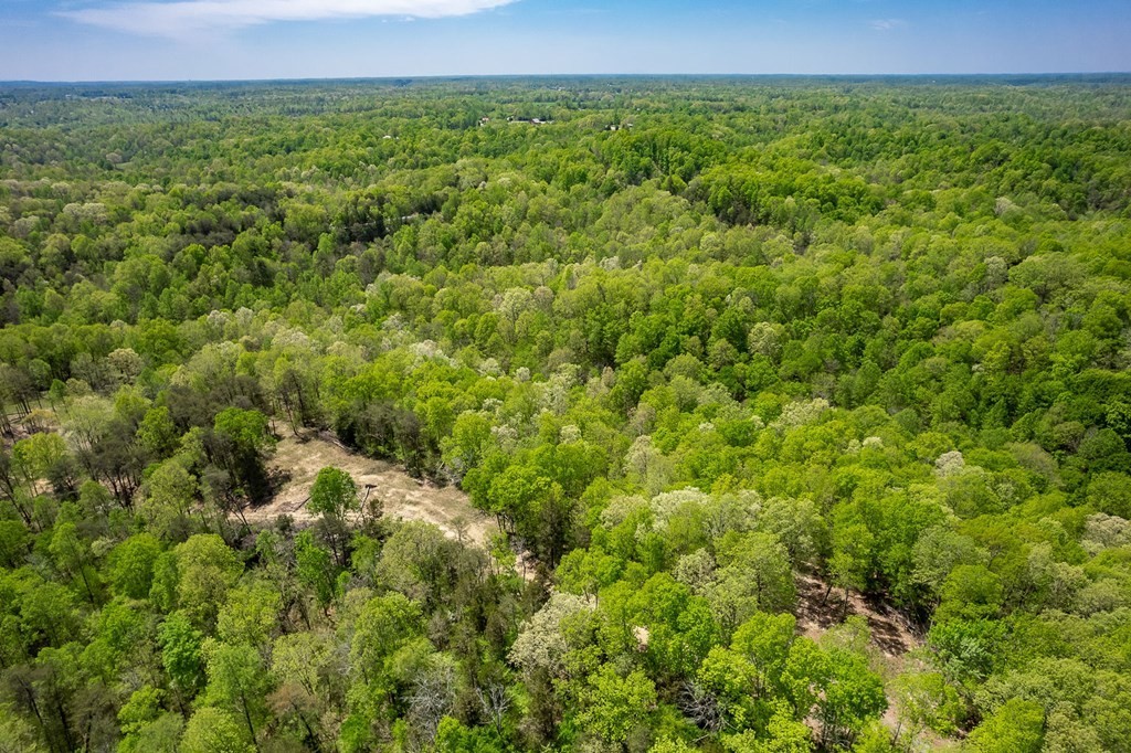 10. Seven Knobs Rd 65.62 Acres