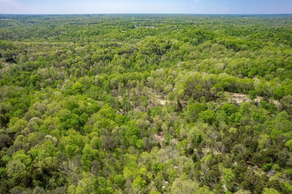 20. Seven Knobs Rd 65.62 Acres