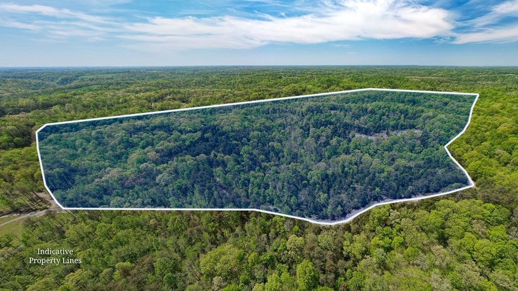 3. Seven Knobs Rd 65.62 Acres