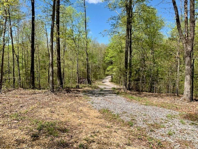 42. Seven Knobs Rd 65.62 Acres