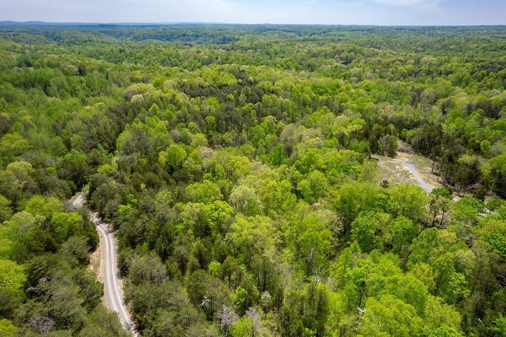 23. Seven Knobs Rd 65.62 Acres