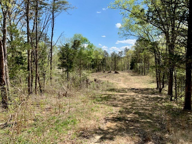 46. Seven Knobs Rd 65.62 Acres