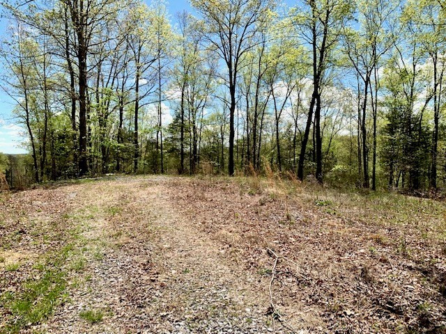 43. Seven Knobs Rd 65.62 Acres