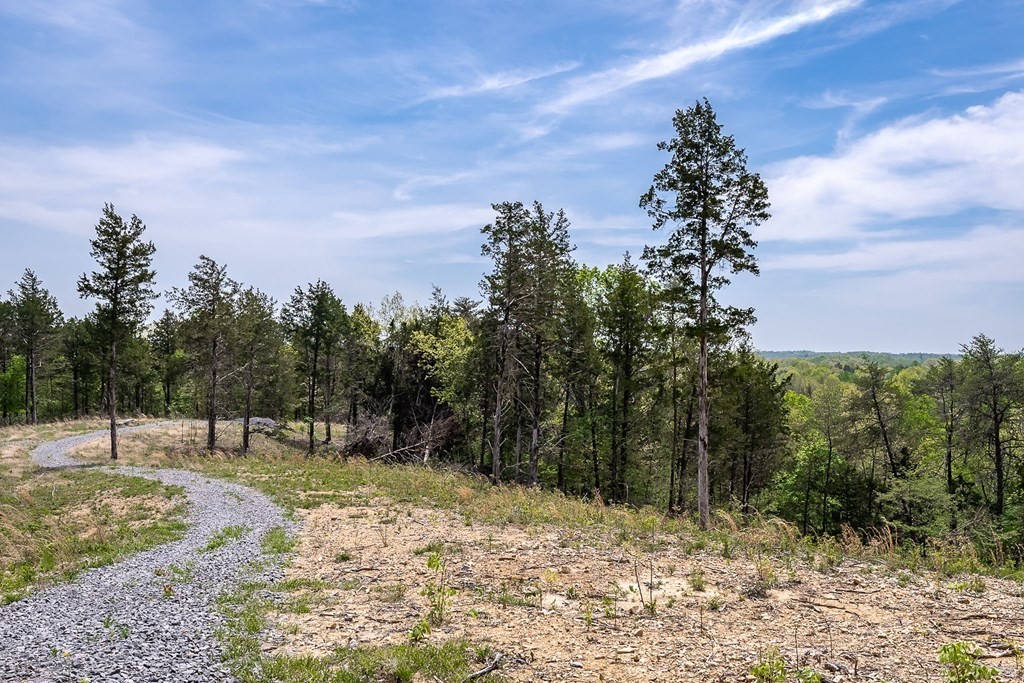 33. Seven Knobs Rd 65.62 Acres