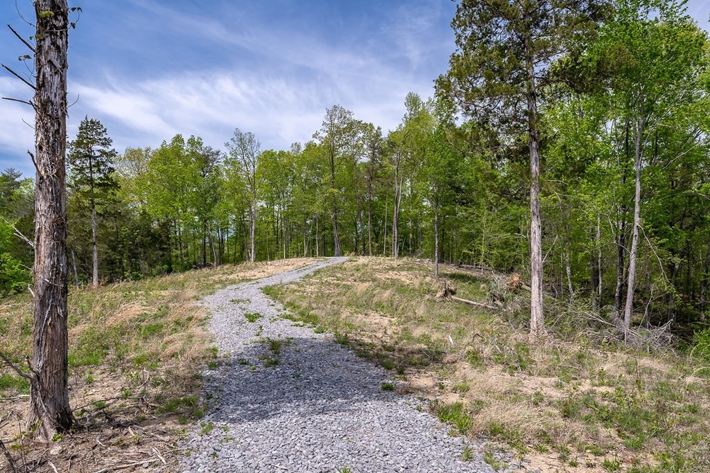 34. Seven Knobs Rd 65.62 Acres