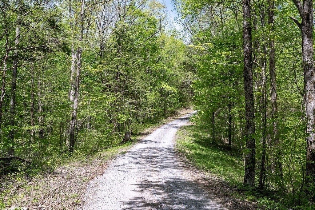 25. Seven Knobs Rd 65.62 Acres