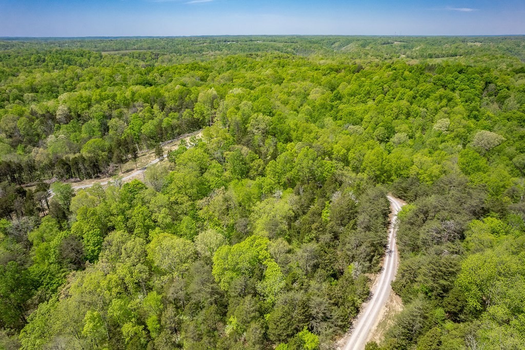 21. Seven Knobs Rd 65.62 Acres