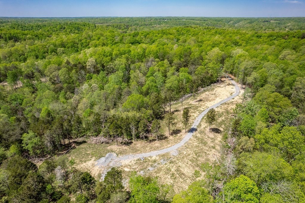 6. Seven Knobs Rd 65.62 Acres