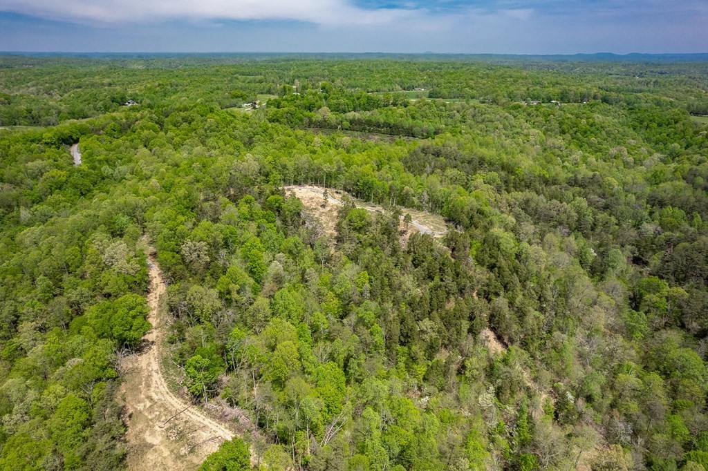 19. Seven Knobs Rd 65.62 Acres