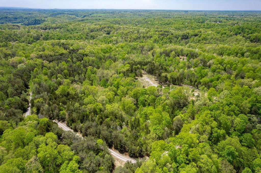4. Seven Knobs Rd 65.62 Acres