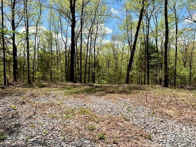 44. Seven Knobs Rd 65.62 Acres