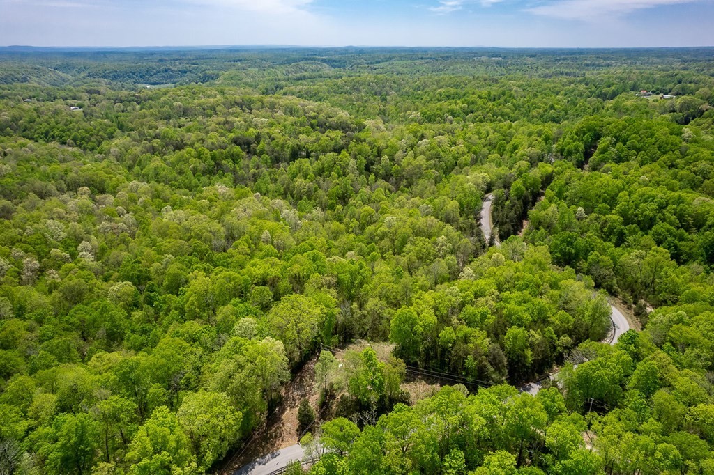 15. Seven Knobs Rd 65.62 Acres