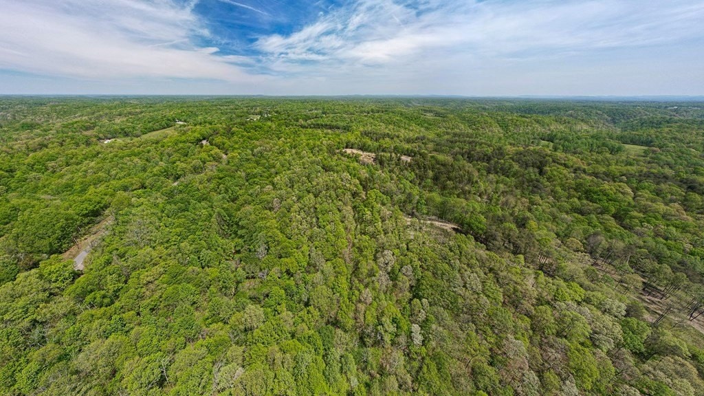 17. Seven Knobs Rd 65.62 Acres