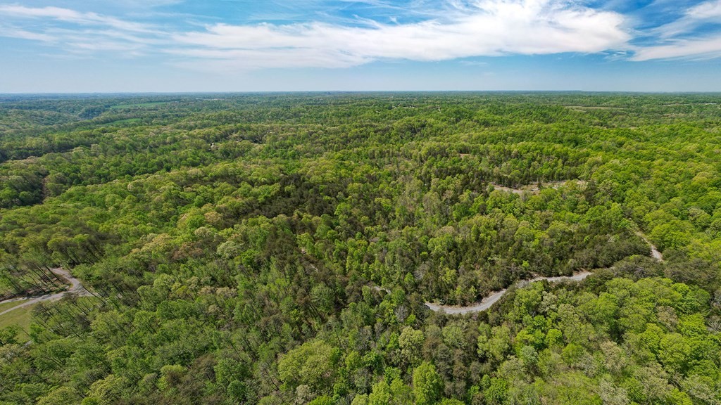 2. Seven Knobs Rd 65.62 Acres