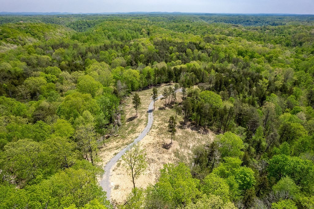7. Seven Knobs Rd 65.62 Acres