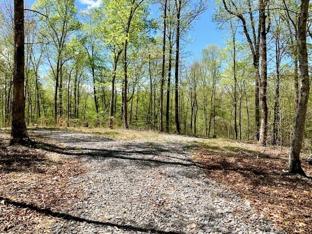 41. Seven Knobs Rd 65.62 Acres