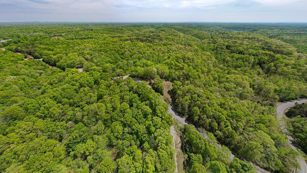 16. Seven Knobs Rd 65.62 Acres