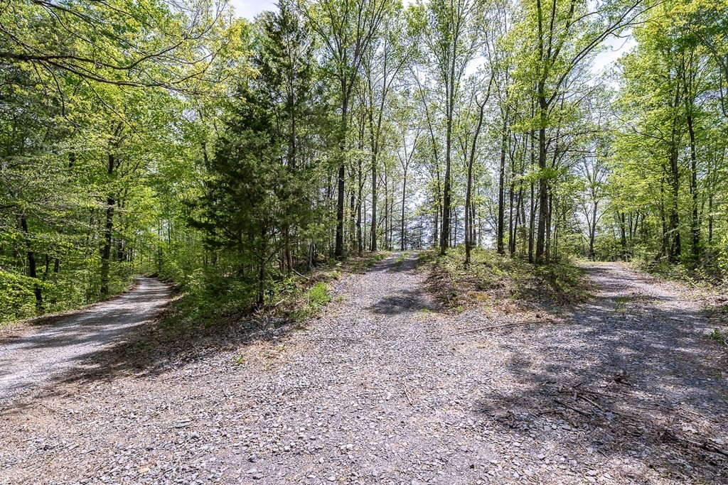 27. Seven Knobs Rd 65.62 Acres