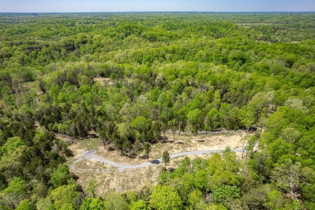 5. Seven Knobs Rd 65.62 Acres