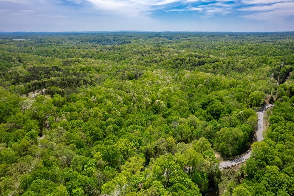 13. Seven Knobs Rd 65.62 Acres