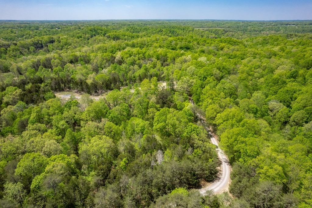 22. Seven Knobs Rd 65.62 Acres