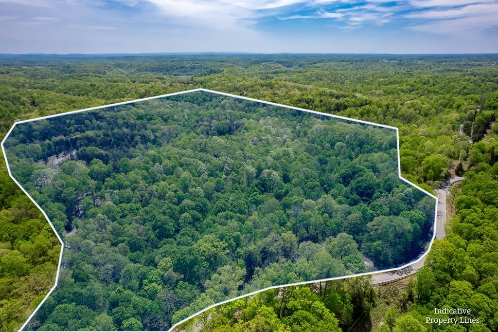 14. Seven Knobs Rd 65.62 Acres