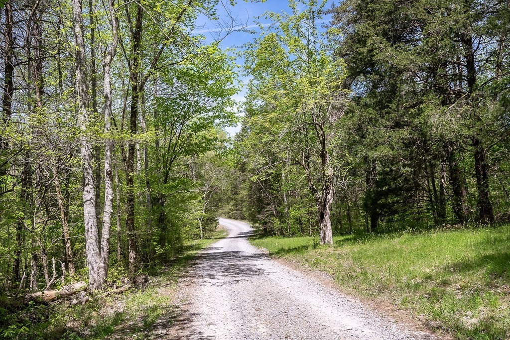 29. Seven Knobs Rd 65.62 Acres