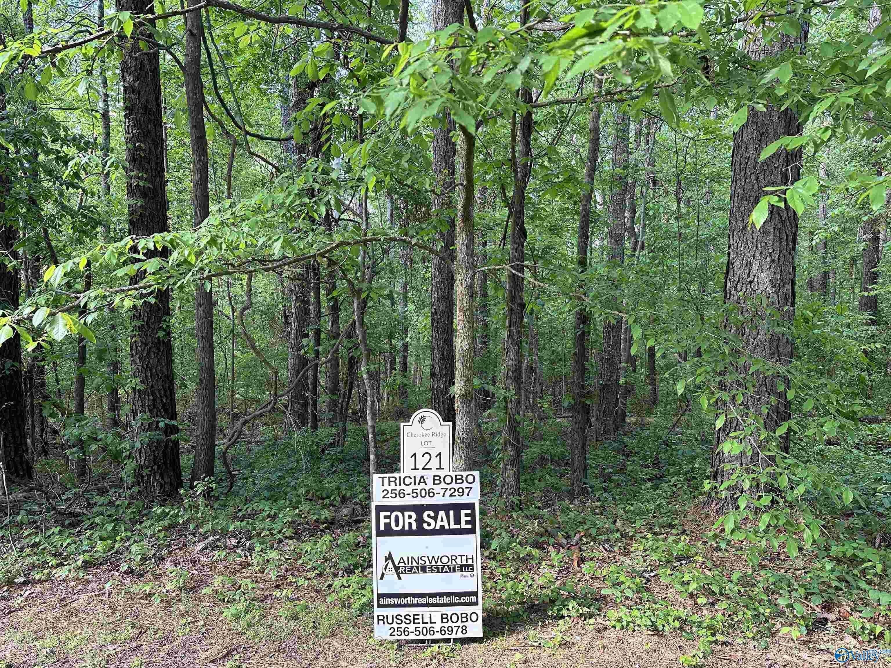 1. Lot 121 Creekwood Drive